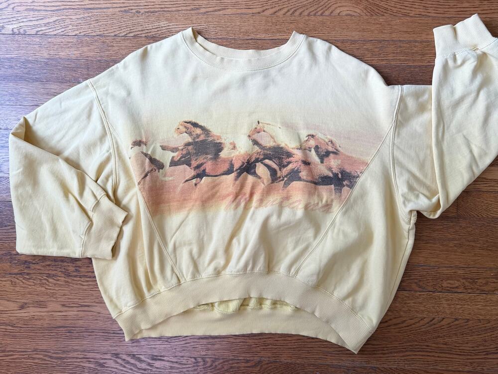 Urban Outfitters Women's Montana Horses Sweatshirt Size S